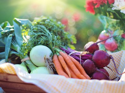 Kritische Infrastrukturen im Sektor Ernährung